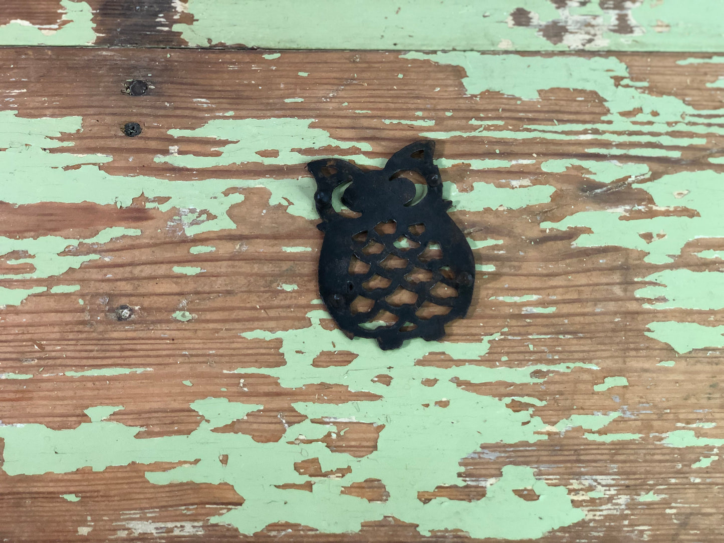 Small Owl Trivet